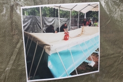 ff_huchting_schwimm_mit_uns (1)